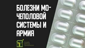 Что можно отправить другу в армию в Аптека Радуга