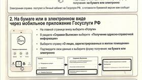 Что показывает выписка из домовой книги в Аптека Радуга