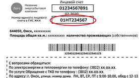 Единый лицевой счет ГИС ЖКХ: назначение и функции в Аптека Радуга
