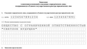 Как добавить виды деятельности в ООО в Аптека Радуга