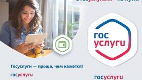 Как оформить путинские выплаты через Госуслуги в Аптека Радуга