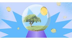 Как продать земельный участок: пошаговая инструкция в Аптека Радуга