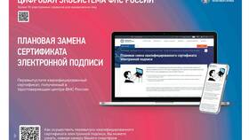 Как проверить статус ИП физического лица в Аптека Радуга
