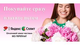 Как расплатиться картой Сплит в Аптека Радуга