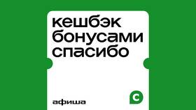Как собирать баллы СберСпасибо в Аптека Радуга