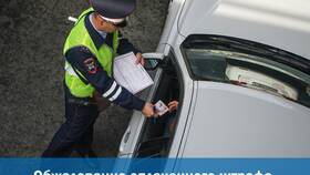 Как узнать за что штраф МВД в Аптека Радуга