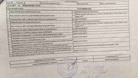 Как выглядит расширенная выписка из ЕГРН в Аптека Радуга