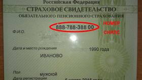 Как выглядит российский СНИЛС в Аптека Радуга