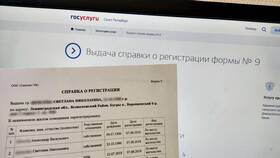 Как заказать справку об обучении через Госуслуги в Аптека Радуга