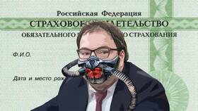 Почему в Госуслугах нет ИНН в Аптека Радуга