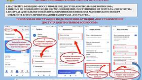 Пошаговая инструкция работы с порталом Госуслуги в Аптека Радуга