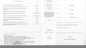 Реквизиты документа об образовании: что это в Аптека Радуга