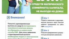 Реорганизация Пенсионного фонда: что это значит в Аптека Радуга