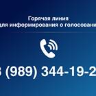 Как проголосовать онлайн: пошаговая инструкция